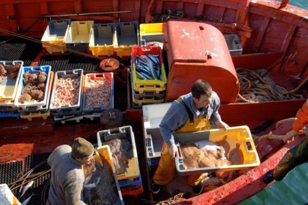 Kermaravel, le petit manoir en bord de mer. Saint-Pol-de-Léon Eksteriør billede